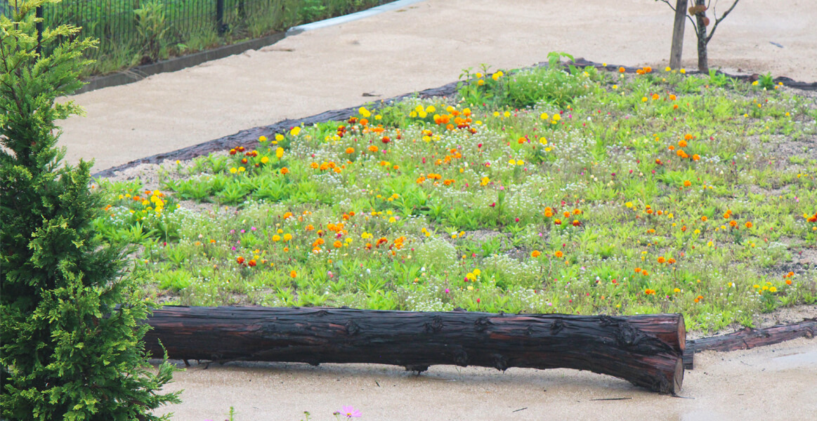 計6花壇に咲く花を眺めながら気持ちよく散策してくださいね。