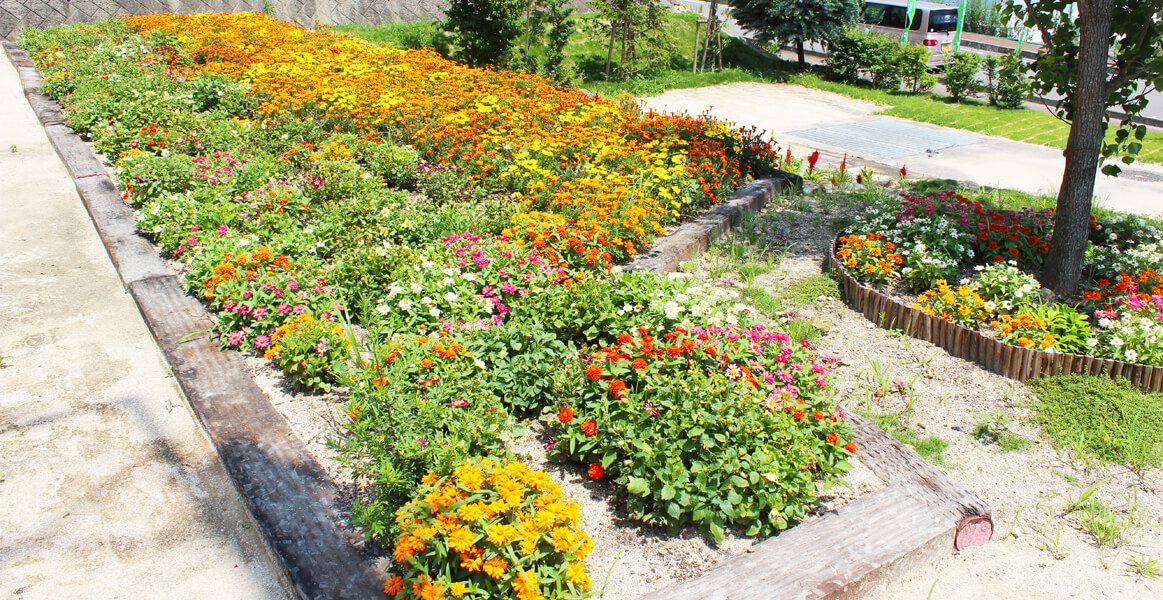 花を見ながら、お日様パワーを浴びる‼リフレッシュししてくださいね)^o^(